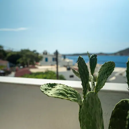 Manifesto Seaview I Myrties