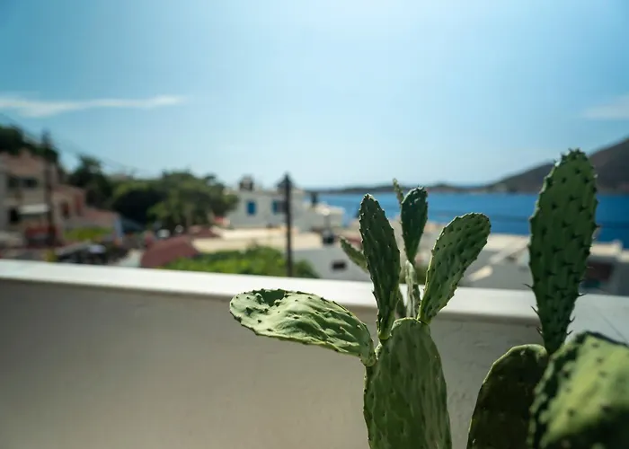 Manifesto Seaview I Myrties